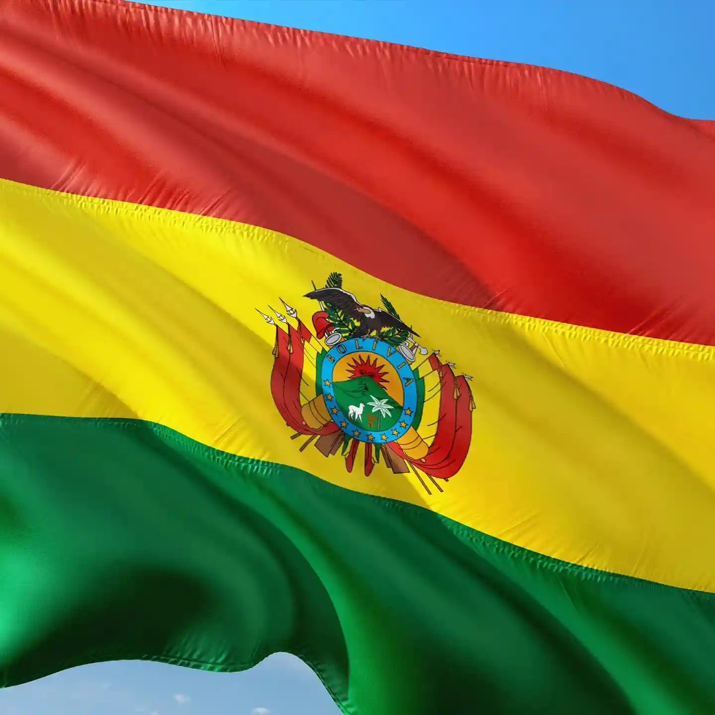 Encuestas-en-linea-bolivia