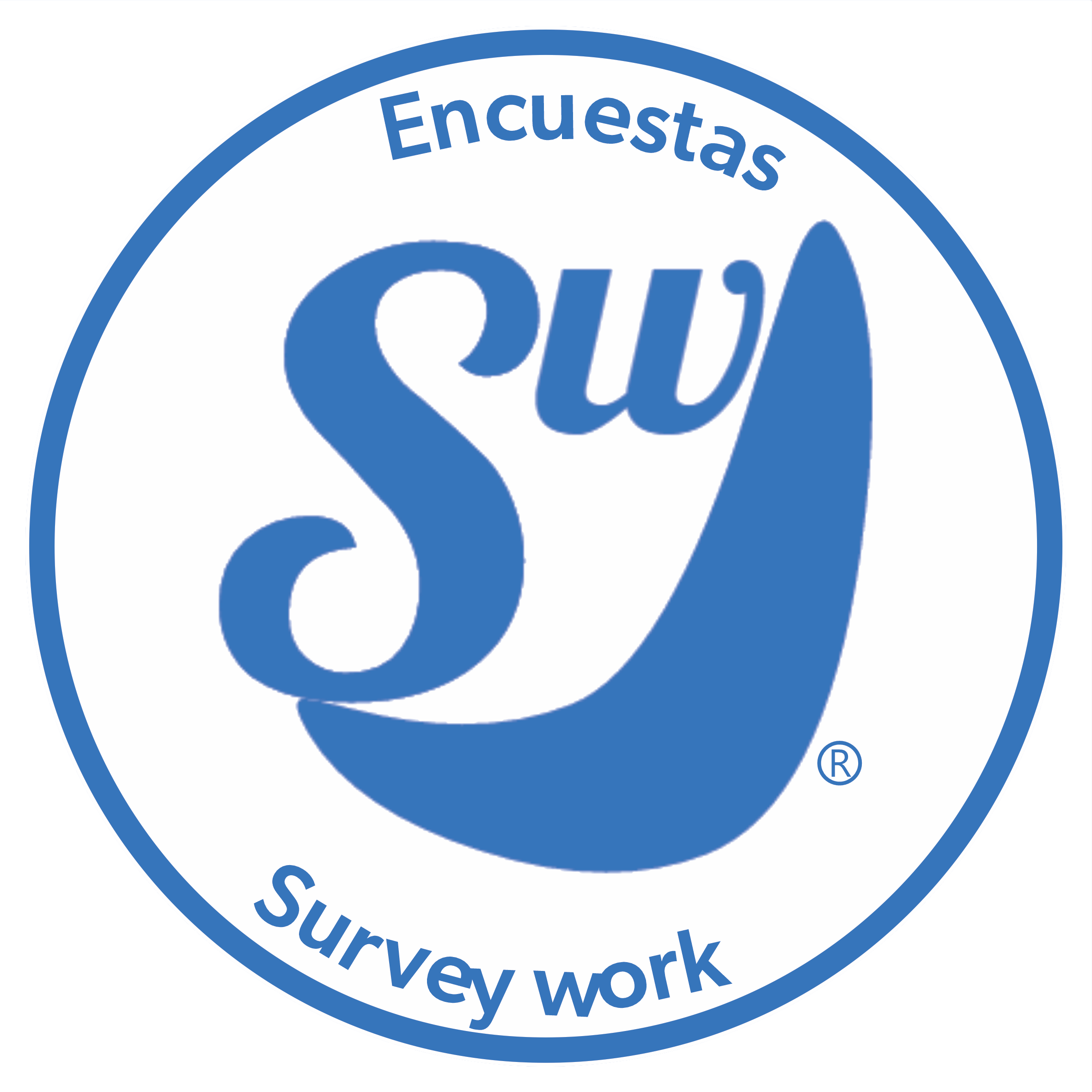 Encuestas-Survey-Work